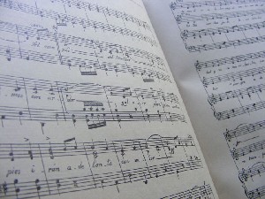 biblioteca 262 copy.jpg